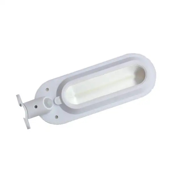 Solar Motion Sensor Light
